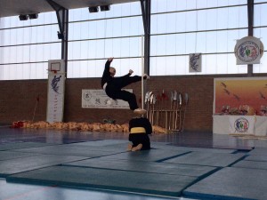 Stage David - ciseau
